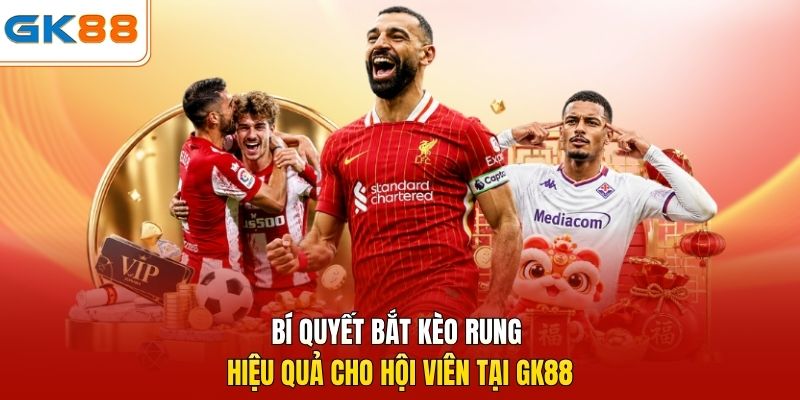 Bí quyết bắt kèo rung hiệu quả cho hội viên tại GK88